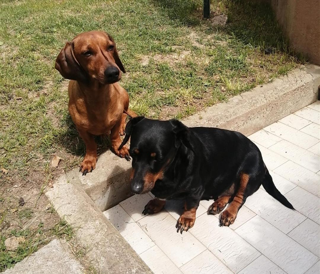 Luis&susy Home, * Cagliari
